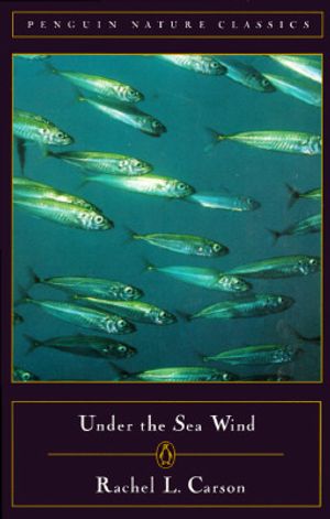 Under the Sea Wind image number 0