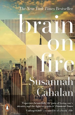 Brain on Fire : My Month of Madness image number 0