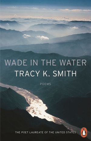 Wade in the Water image number 0