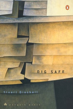 Dig Safe image number 0