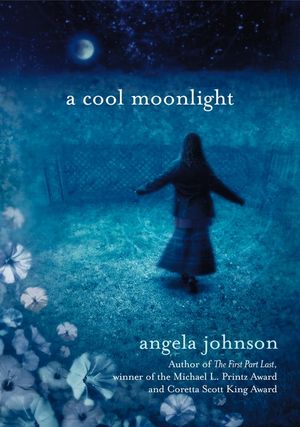 A Cool Moonlight image number 0