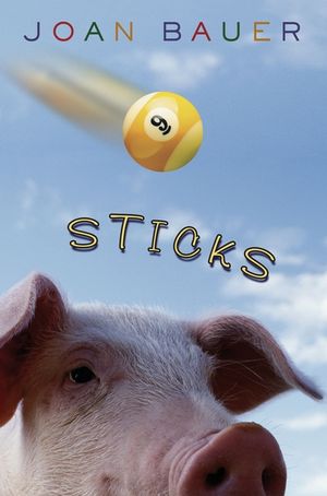 Sticks image number 0