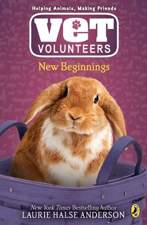 New Beginnings image number 0