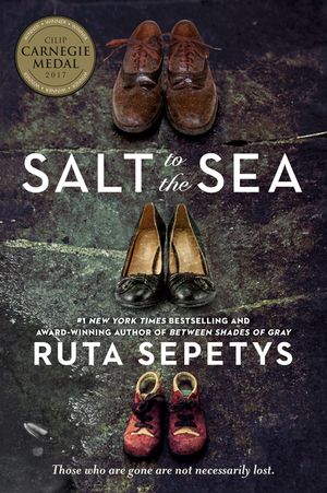 Salt to the Sea image number 0