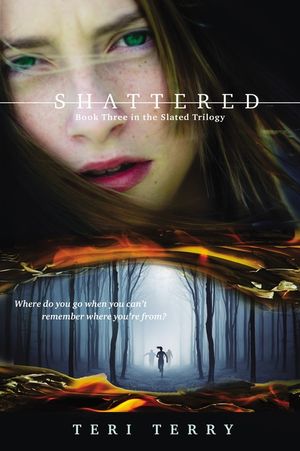 Shattered image number 0