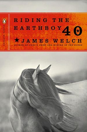 Riding the Earthboy 40 image number 0