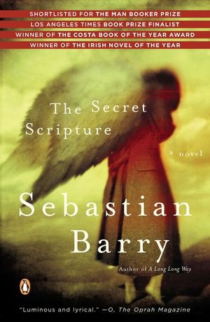 The Secret Scripture image number 0