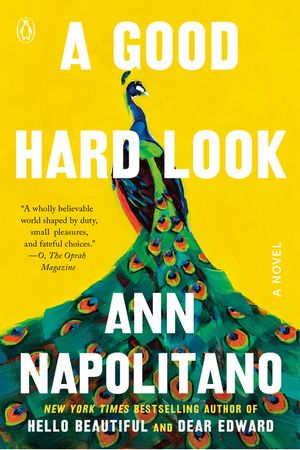 A Good Hard Look: A Novel of Flannery O'Connor image number 0