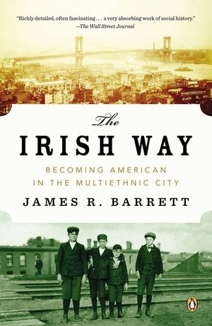The Irish Way: Becoming American in the Multiethnic City image number 0