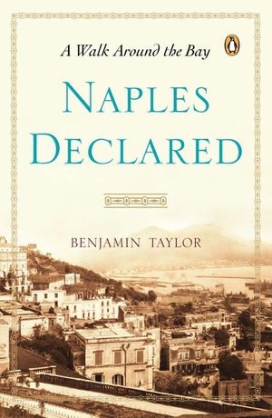 Naples Declared: A Walk Around the Bay image number 0