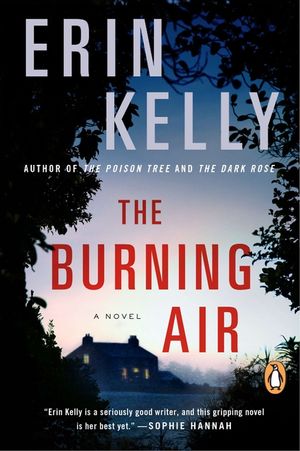 The Burning Air image number 0