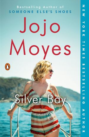 Silver Bay image number 0