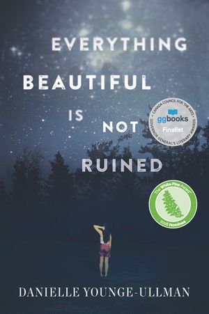 Everything Beautiful Is Not Ruined image number 0