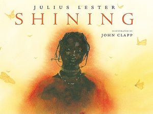 Shining image number 0