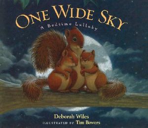 One Wide Sky: A Bedtime Lullaby image number 0