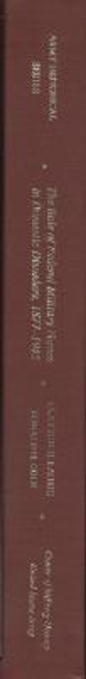 The Role of Federal Military Forces in Domestic Disorders, 1877-1945 image number 0