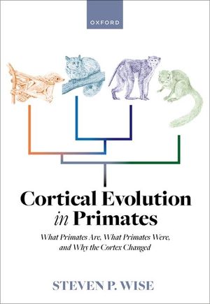 Cortical Evolution in Primates: What Primates Are, What Primates Were, and Why the Cortex Changed image number 0