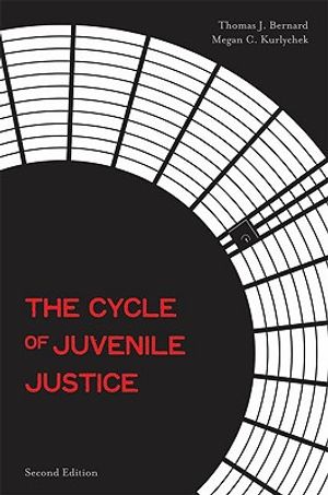The Cycle of Juvenile Justice image number 0