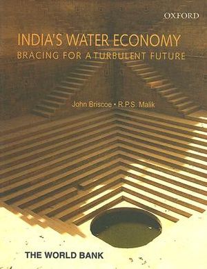 India's Water Economy: Bracing for a Turbulent Future image number 0