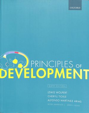 Principles of Development image number 0