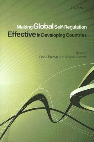 Making Global Self-Regulation Effective in Developing Countries image number 0