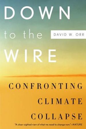 Down to the Wire: Confronting Climate Collapse image number 0