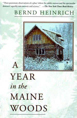 A Year in the Maine Woods image number 0