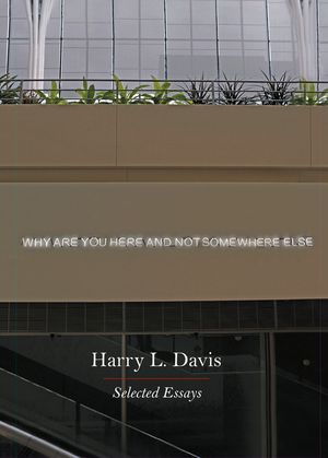 Why Are You Here and Not Somewhere Else: Selected Essays image number 0