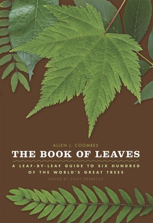 The Book of Leaves: A Leaf-By-Leaf Guide to Six Hundred of the World's Great Trees image number 0