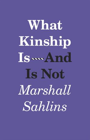 What Kinship Is-And Is Not image number 0