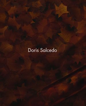 Doris Salcedo image number 0