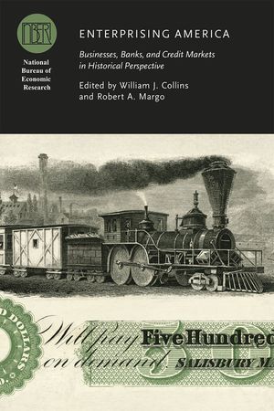 Enterprising America: Businesses, Banks, and Credit Markets in Historical Perspective image number 0