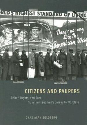 Citizens and Paupers: Relief, Rights, and Race, from the Freedmen's Bureau to Workfare image number 0