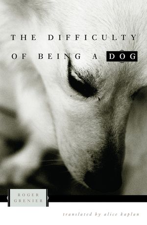 The Difficulty of Being a Dog image number 0