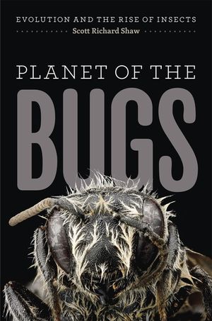 Planet of the Bugs image number 0