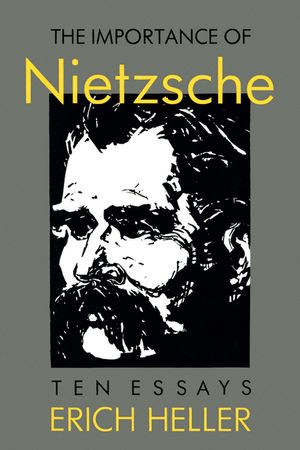 The Importance of Nietzsche image number 0