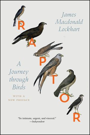 Raptor: A Journey Through Birds image number 0
