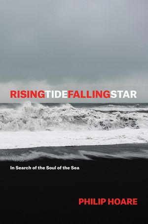 Risingtidefallingstar: In Search of the Soul of the Sea image number 0