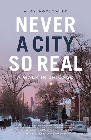 Never a City So Real: A Walk in Chicago image number 0