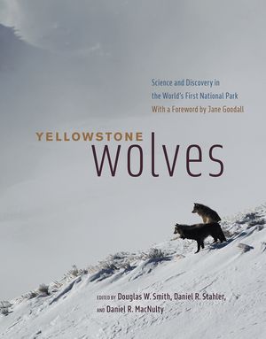 Yellowstone Wolves: Science and Discovery in the World's First National Park image number 0