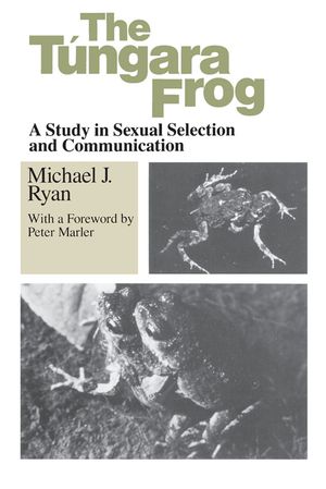 The Tungara Frog: A Study in Sexual Selection and Communication image number 0