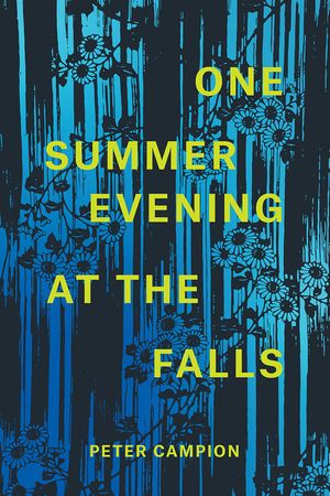 One Summer Evening at the Falls image number 0