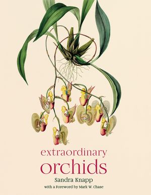Extraordinary Orchids image number 0