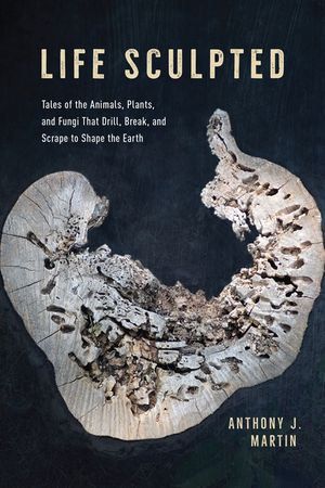 Life Sculpted: Tales of the Animals, Plants, and Fungi That Drill, Break, and Scrape to Shape the Earth image number 0