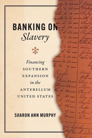 Banking on Slavery: Financing Southern Expansion in the Antebellum United States image number 0