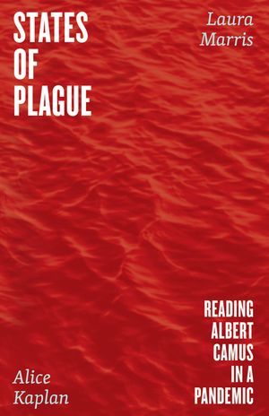 States of Plague: Reading Albert Camus in a Pandemic image number 0