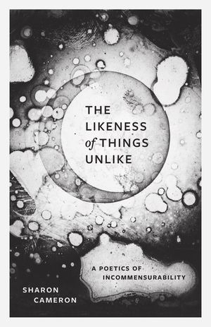 The Likeness of Things Unlike: A Poetics of Incommensurability image number 0