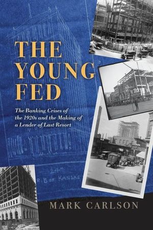 The Young Fed: The Banking Crises of the 1920s and the Making of a Lender of Last Resort image number 0