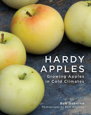 Hardy Apples: Growing Apples in Cold Climates image number 0