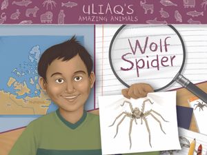 Uliaq's Amazing Animals: Wolf Spider: English Edition image number 0